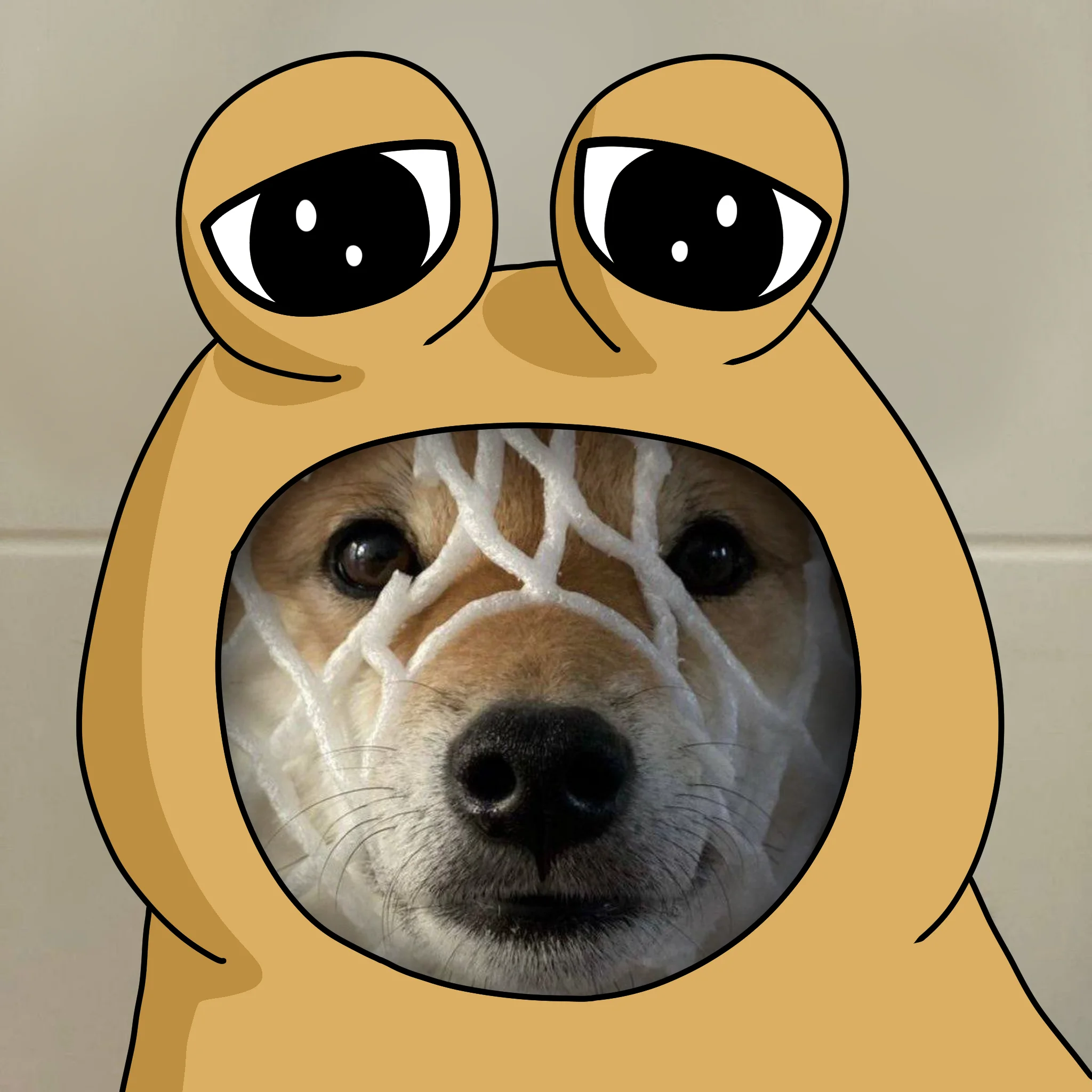 Dog 40