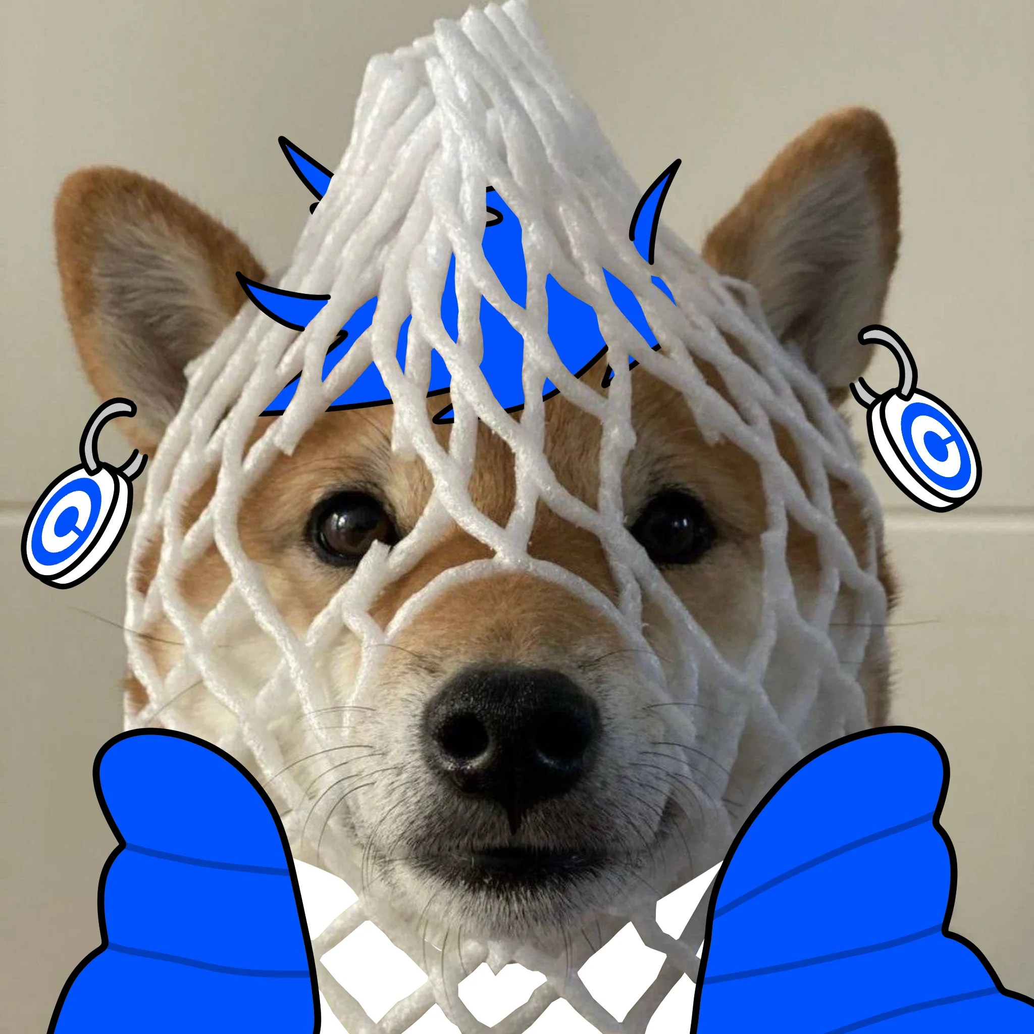 Dog 6